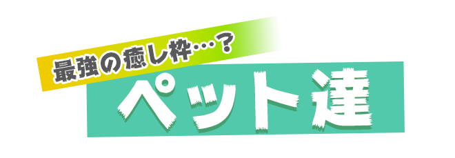 最強の癒し枠…?『ペット達』